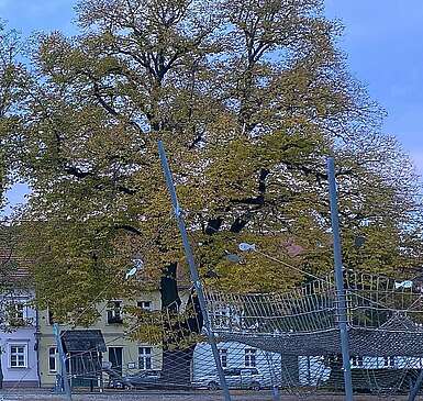 Häuserfront am Neuen Markt in Neuruppin
