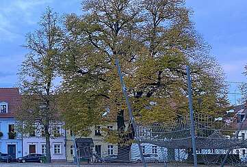 Häuserfront am Neuen Markt in Neuruppin