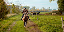Reiten