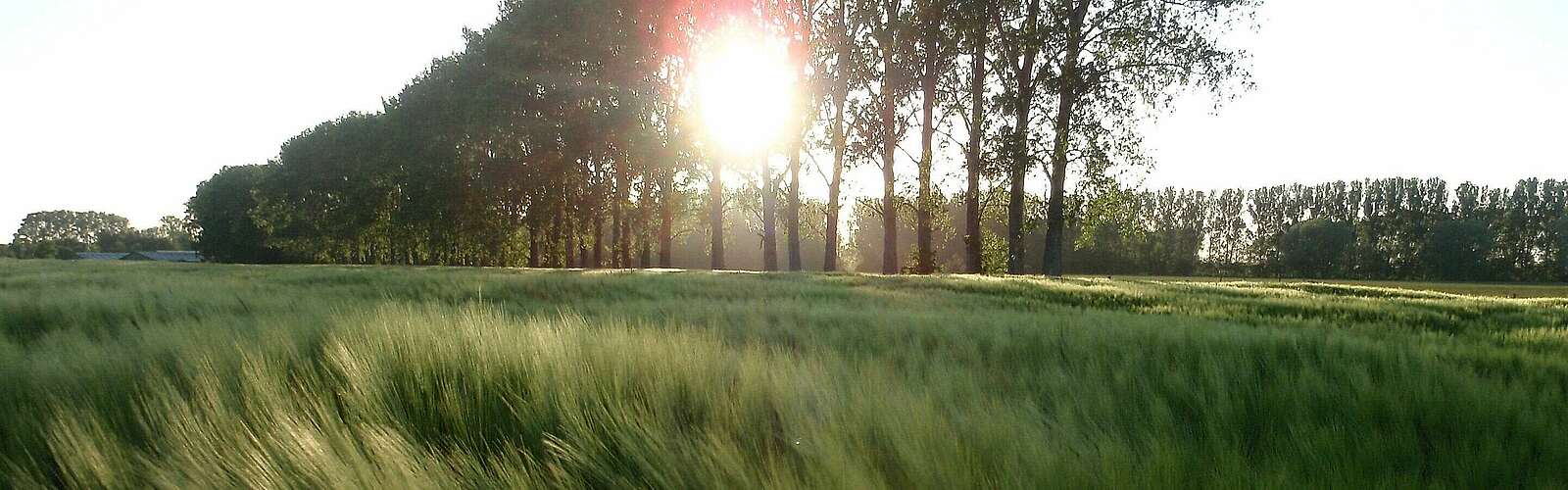 Kremmener Natürlichkeit