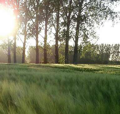 Kremmener Natürlichkeit