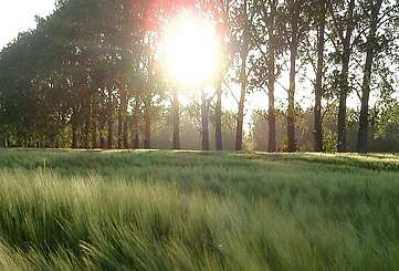 Kremmener Natürlichkeit