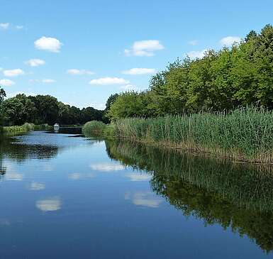 <p>Blick auf die Havel, die rechts und links von grünen Bäumen gesäumt wird. In der Ferne sieht man ein Boot fahren.</p>