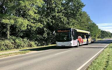 Bus Tierpark-Heide-Linie