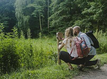 Baumlehrpfad im Havelpark, Fürstenberg/Havel