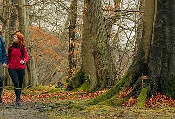 <p>Eine Familie aus Vater, Mutter und Kind wandert durch einen herbstlichen Wald am Seeufer</p>