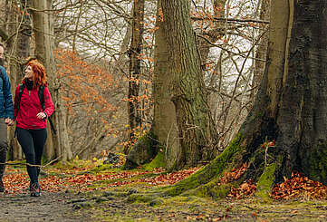 <p>Eine Familie aus Vater, Mutter und Kind wandert durch einen herbstlichen Wald am Seeufer</p>