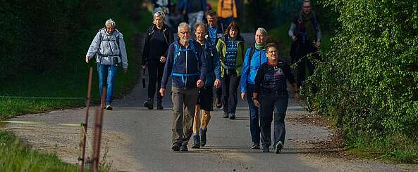 <p>Eine große Gruppe sportlicher Wanderer auf einem asphaltierten Weg zwischen grünen Bäumen</p>