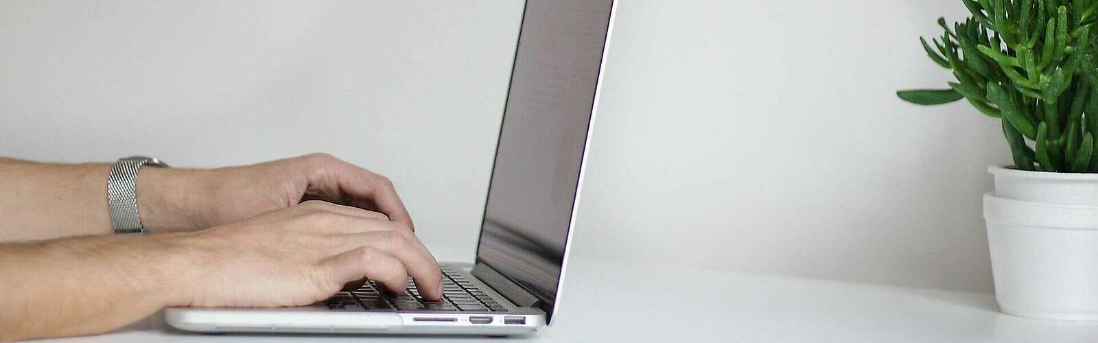 <p>Nahaufnahme von Händen, die auf der Tastatur eines Laptops schreiben. Rechts auf dem Tisch steht eine Pflanze.</p>