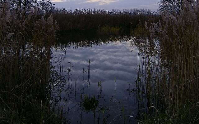 Der Geronsee bei Gransee