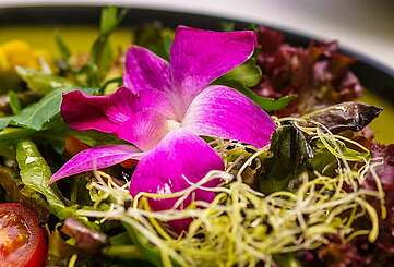 <p>Fotos eines grünen, hübsch angerichteten Tellers mit roter Salami, kleinen Tomatenhälften, Salat und violetten Blüten.</p>