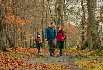 <p>Eine Familie aus Vater, Mutter und Kind wandert durch einen herbstlichen Wald am Seeufer</p>