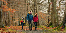 Wandern