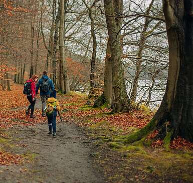 <p>Eine Familie aus Vater, Mutter und Kind wandert durch einen herbstlichen Wald am Seeufer</p>