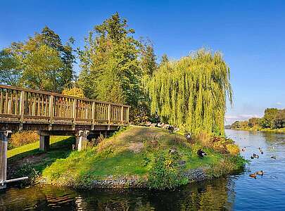 Nieder Neuendorfer See in Hennigsdorf