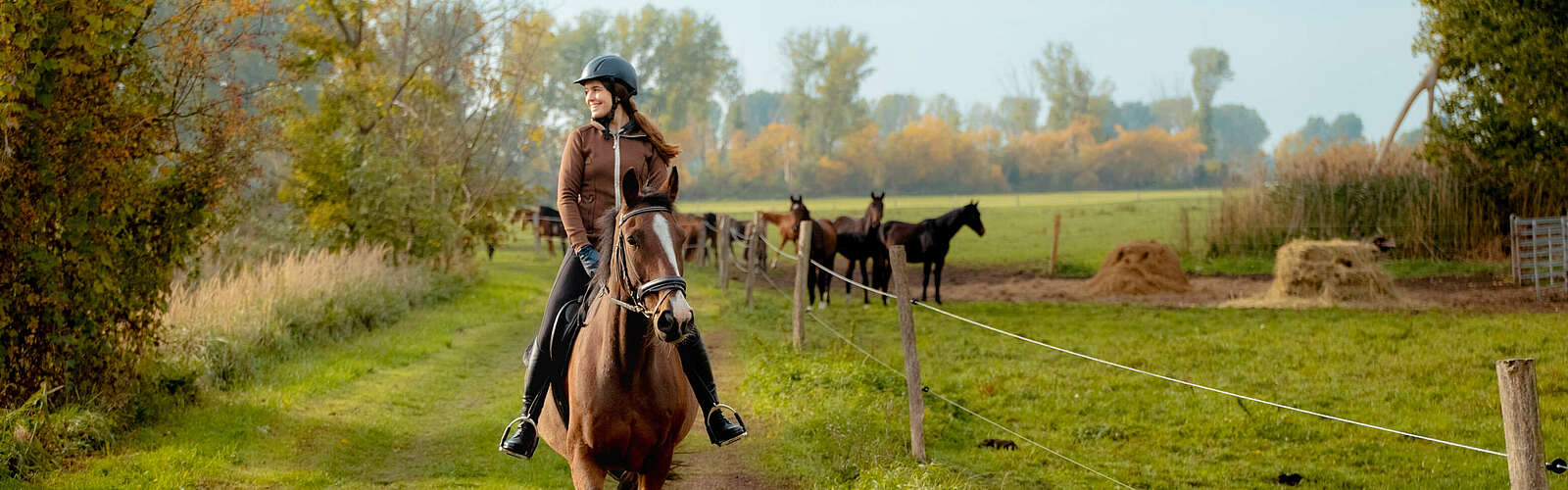 <p>Eine junge Frau reitet auf einem braunen Pferd über einen Feldweg, an dessen Rand grünes Gras wächst. Das Wetter ist herbstlich grau. Die Frau trägt einen schwarzen Reiterhelm.</p>